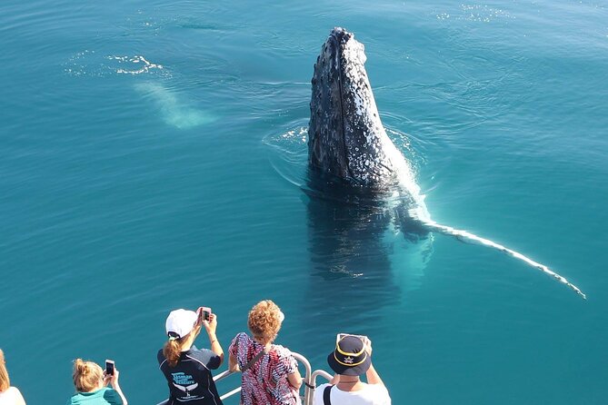 Remote K'gari (Fraser Island) & Whale Experience - Kayaking through the mangroves