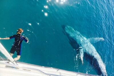 Remote K’gari (Fraser Island) & Whale Experience