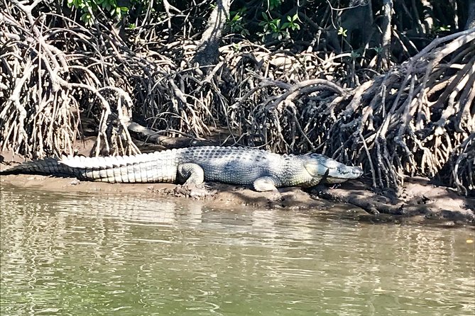 River Cruise - The crew makes the difference
