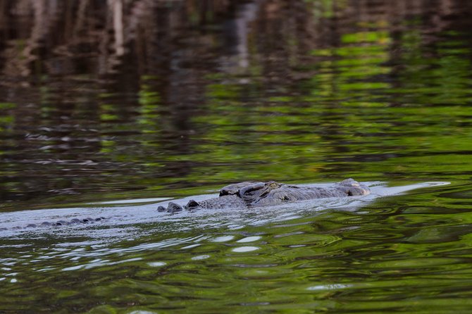 River Cruise - Family appeal and comfort on board