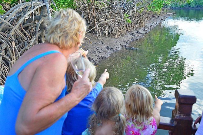 River Cruise - From the marina to the Port Douglas waterfront