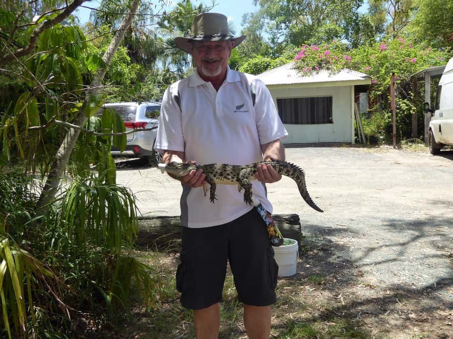 Rockhampton: Koorana Crocodile Farm Guided Tour - Why the $28 price can be good value