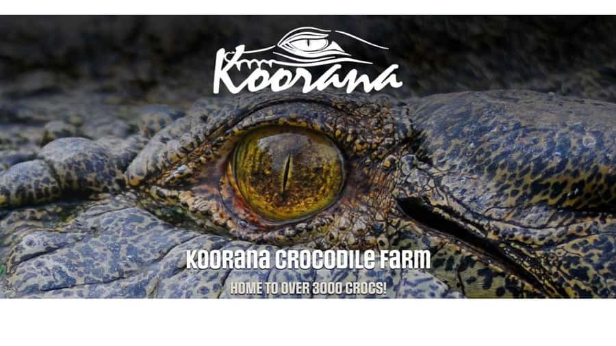 Rockhampton: Koorana Crocodile Farm Guided Tour - The video explains more than a quick farm visit can