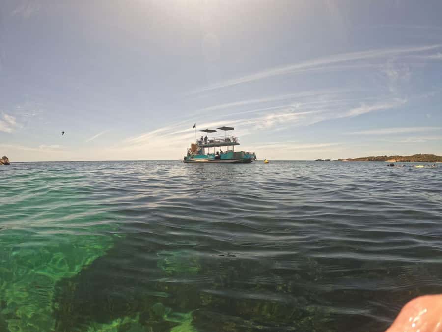 Rockingham: 3 Island Wildlife Snorkeling Cruise with Lunch - Photos, equipment, and practical details