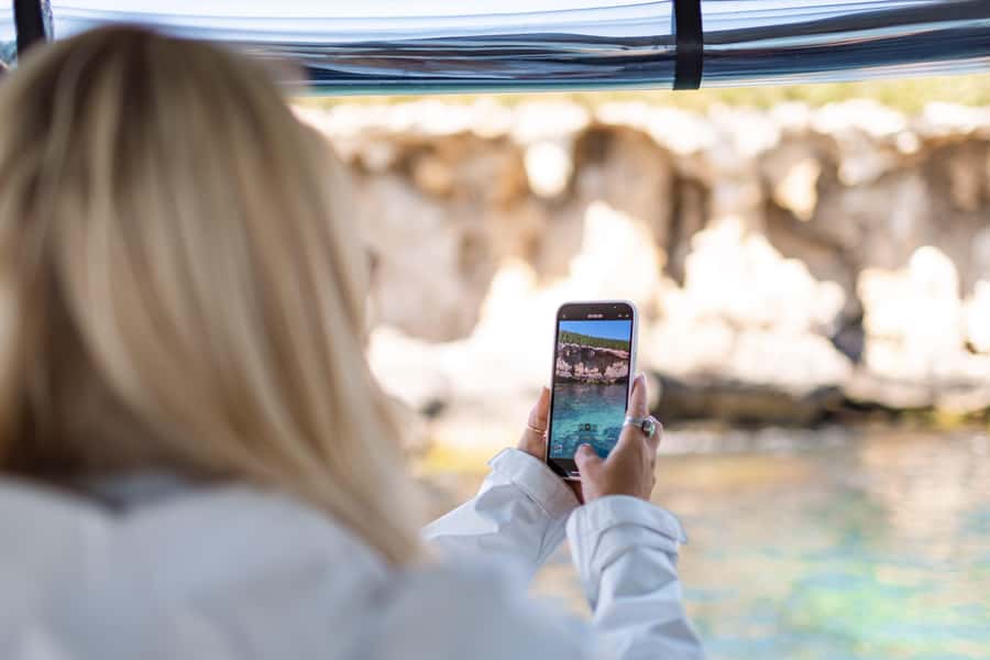Rockingham: Shoalwater Islands, Dolphins, and Sea Lions Tour - Penguin Island, names, and expectations