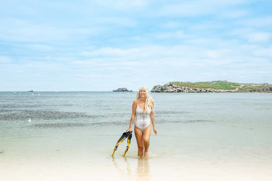 Rockingham: Shoalwater Islands, Dolphins, and Sea Lions Tour - How much value do you get for $42?