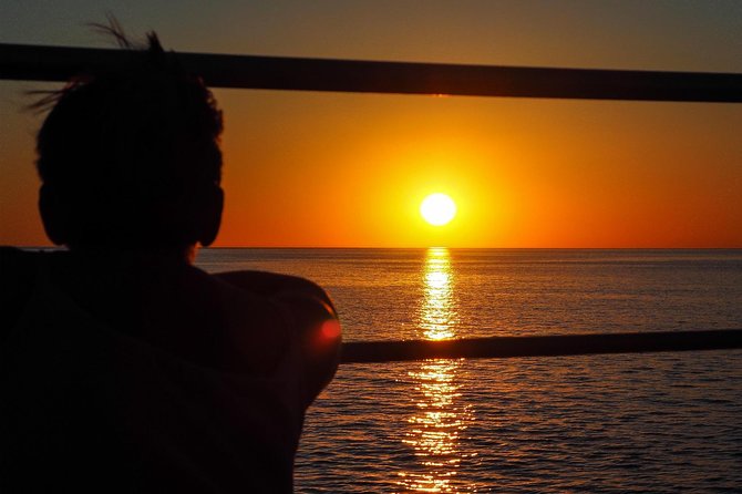 Roebuck Bay Sunset & Snubfin Dolphin Cruise - Key points to know before you book
