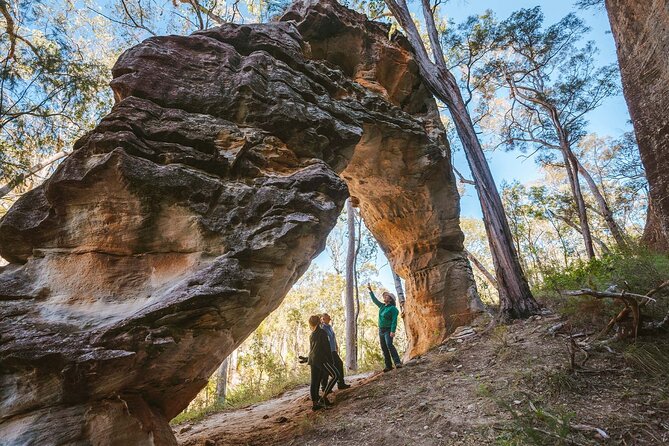 Roma: Lost World Carnarvons (Wallaroo) Day Tour - Key points for your Wallaroo day