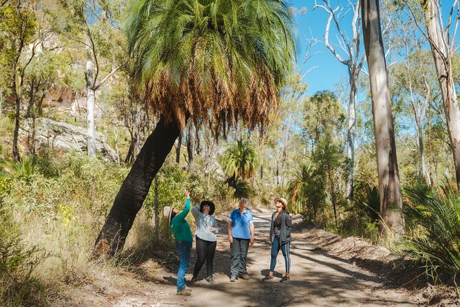 Roma: Lost World Carnarvons (Wallaroo) Day Tour - A full day beyond Roma and the usual Outback stops