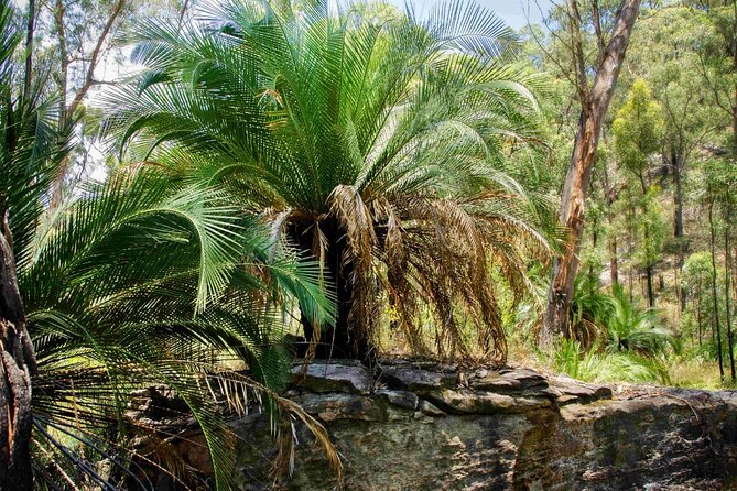 Roma: Lost World Carnarvons (Wallaroo) Day Tour - Wildlife, caves and an ecologist’s view