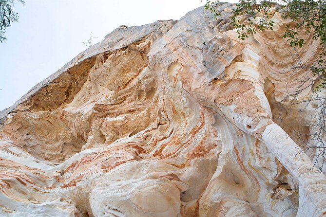 Roma: Lost World Carnarvons (Wallaroo) Day Tour - Timing, fitness and what to bring
