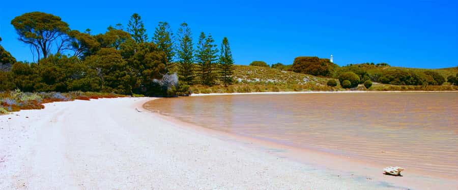 Rottnest Grand Island Package with Ferry, Tour & Light Lunch - Why this tour works for a first day on Rottnest