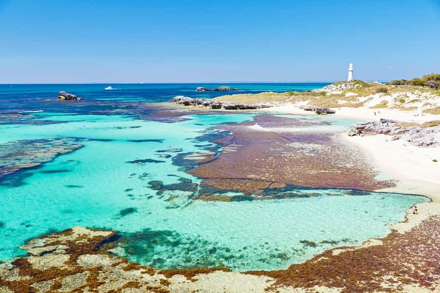 Rottnest Grand Island Package with Ferry, Tour & Light Lunch - Ferry choices from Perth or Fremantle