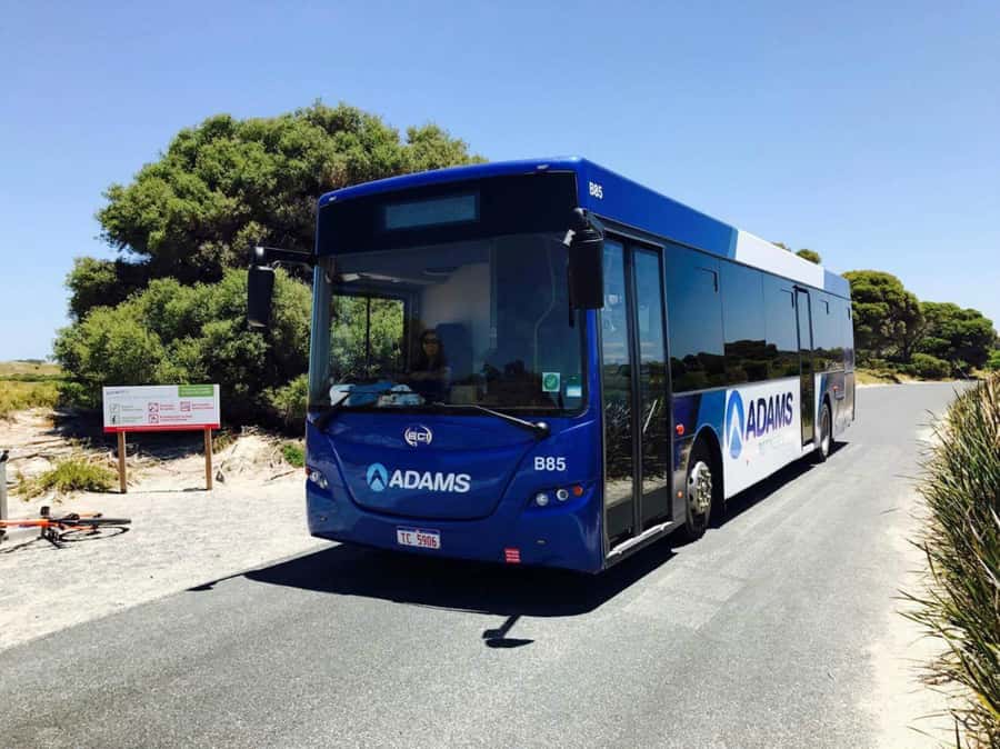 Rottnest Grand Island Package with Ferry, Tour & Light Lunch - The historic train and the climb to Oliver Hill
