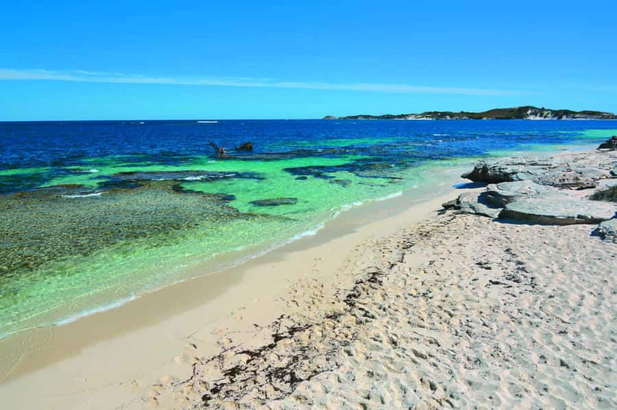 Rottnest Grand Island Package with Ferry, Tour & Light Lunch - How much free time will you really have?