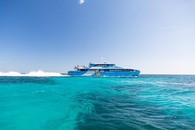 Rottnest Island All-Inclusive Grand Island Tour from Fremantle - Two hours to get your bearings on Rottnest Island