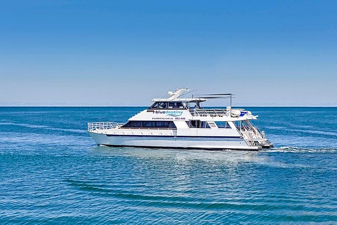 Rottnest Island Boat Dive Day Trip including Lunch - Key points to know before booking