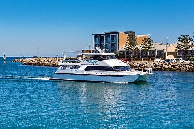 Rottnest Island Boat Dive Day Trip including Lunch - A full day aboard Blue Destiny