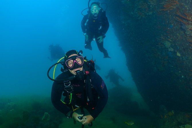 Rottnest Island Deep Dive Day Trips - Conditions can reshape the day
