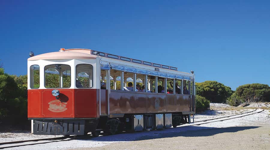 Rottnest Island: Grand Bus and Train Tour with Lunch - Jeannies Lookout, beaches, and salt lakes