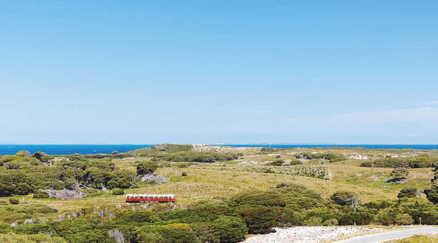 Rottnest Island: Grand Bus and Train Tour with Lunch - The old train ride to Oliver Hill