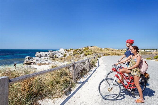 Rottnest Island Round Trip Ferry from Fremantle - Quokkas and the island’s wildlife appeal