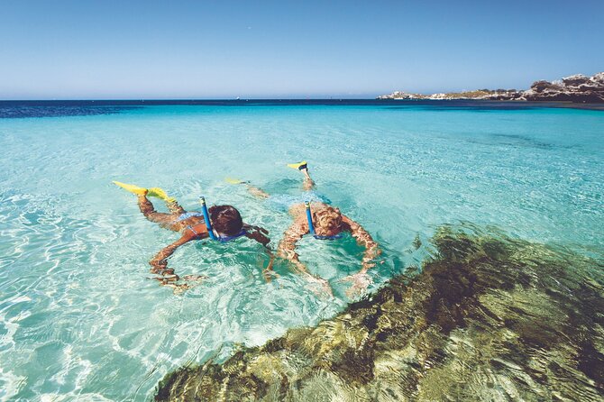 Rottnest Island Round-Trip Ferry from Perth - Choosing Perth or Fremantle for the ferry