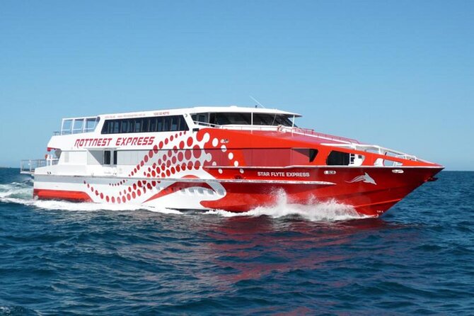 Rottnest Island Round-Trip Ferry from Perth - Beaches, bays, and water activities