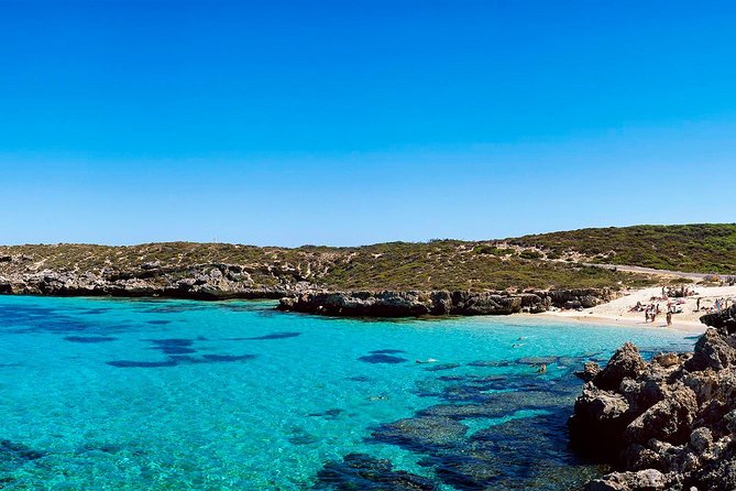 Rottnest Island Roundtrip Fast Ferry from Hillarys Boat Harbour - What the $65.99 price covers