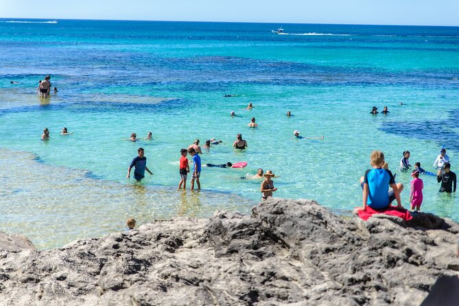 Rottnest Island Roundtrip Fast Ferry from Hillarys Boat Harbour - Your first hours on Rottnest Island