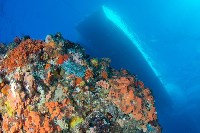 Rottnest Island scuba dive tour - How site choices affect the day