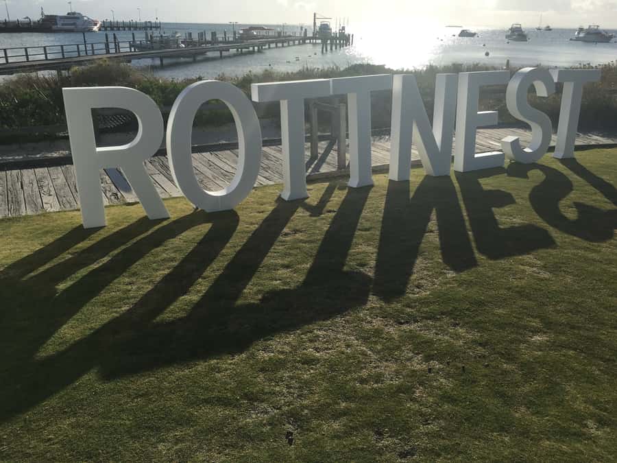 Rottnest Island Segway 1-Hour Settlement Tour - Who will enjoy this most