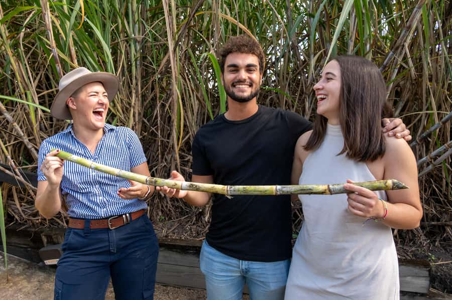 Sarina: Guided Tour of the Sarina Sugar Shed with Tasting - Why the guide matters