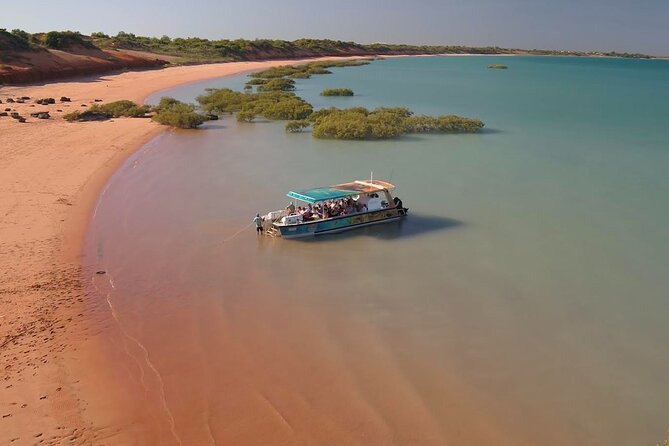 SCENIC AND PREHISTORIC CRUISE - Sparkling Wine & Gourmet Platters - Why the dinosaur tracks are the real highlight