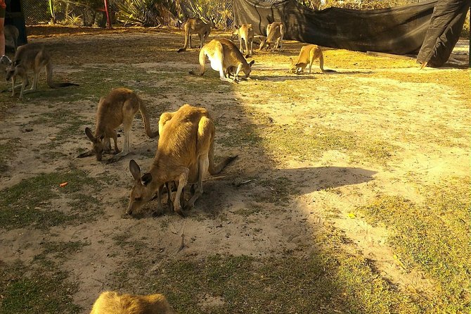 Scooter Wildlife & Sunset Tour - Beaches, sunset views, and local stories