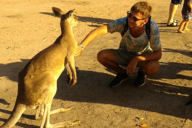 Scooter Wildlife & Sunset Tour - Weather, timing, and the small-group feel