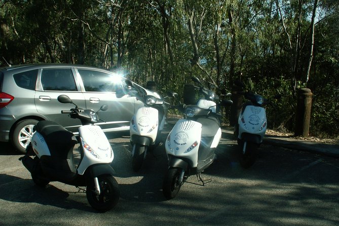 Scooter Wildlife & Sunset Tour - A few practical tips before you book