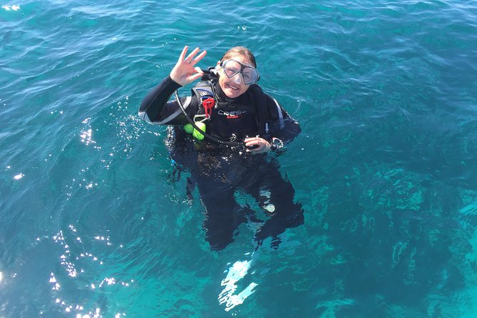 Scuba Dive The Beautiful Rottnest Island for Certified divers - What the two Rottnest sessions are like
