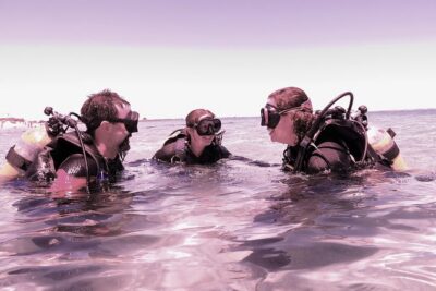 Scuba Dive The Beautiful Rottnest Island for Certified divers