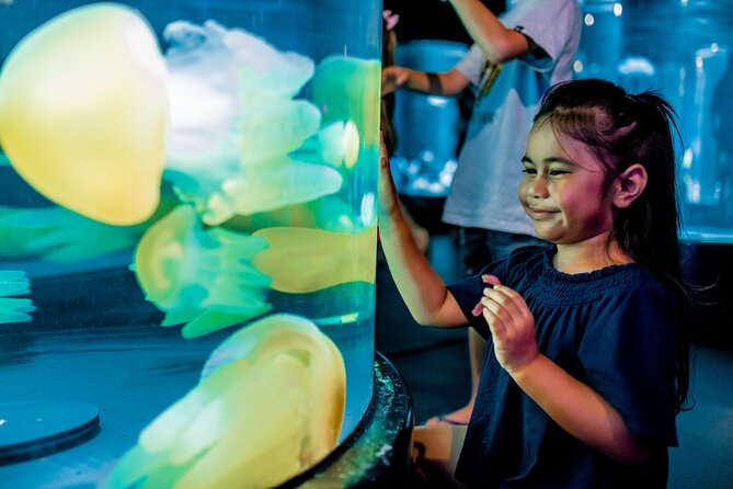 SEA LIFE Sydney Aquarium Entrance Ticket - What your SEA LIFE Sydney Aquarium ticket includes