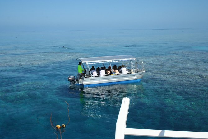 Seastar Luxury Outer Great Barrier Reef Island and Reef Tour - Who will get the most from Seastar