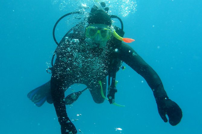 Seastar Luxury Outer Great Barrier Reef Island and Reef Tour - Practical details before you book