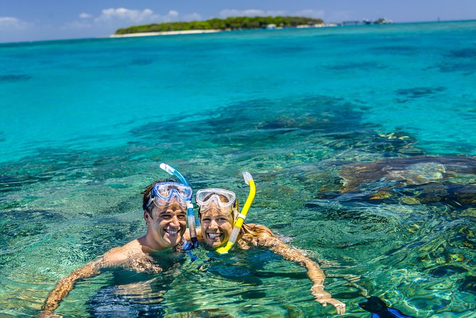 Seawalker Helmet Experience and Green Island Combo from Cairns - What you may see below the surface