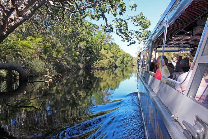 Serenity Cruise to Australia's Everglades - Why Noosa’s Everglades feel so different