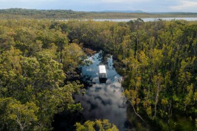 Serenity Cruise to Australia’s Everglades