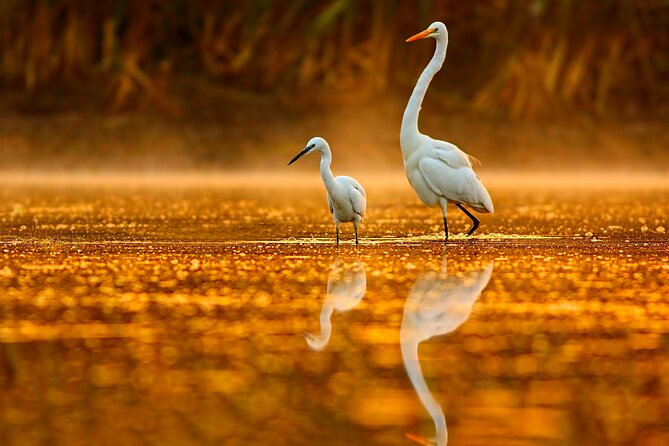 Serenity Cruise to Australia's Everglades - Weather, comfort, and what to pack