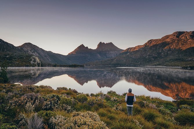 Shore Excursion - Cradle Mountain Shuttle Bus from Burnie - Key points to know before you book