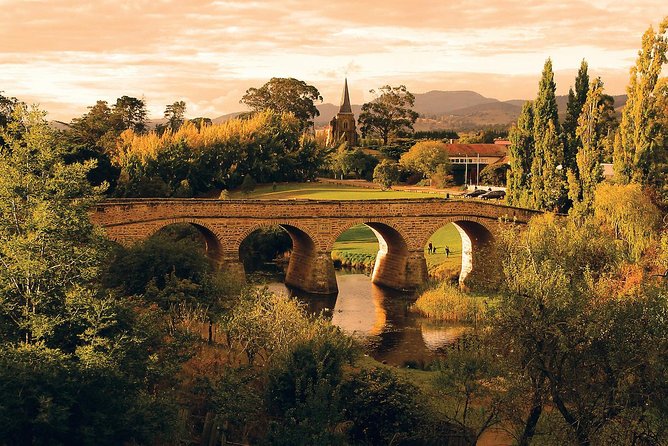 Shore Excursion: Hobart Highlights Day Tour - A smart way to see Hobart from a cruise ship