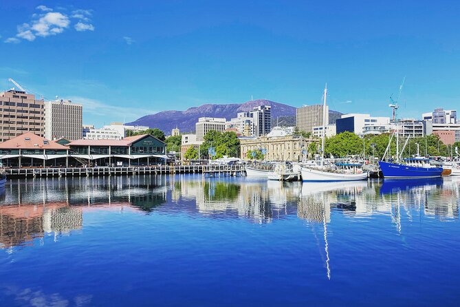 Shore Excursion: Hobart Highlights Day Tour - Timing, comfort, and cruise-day planning