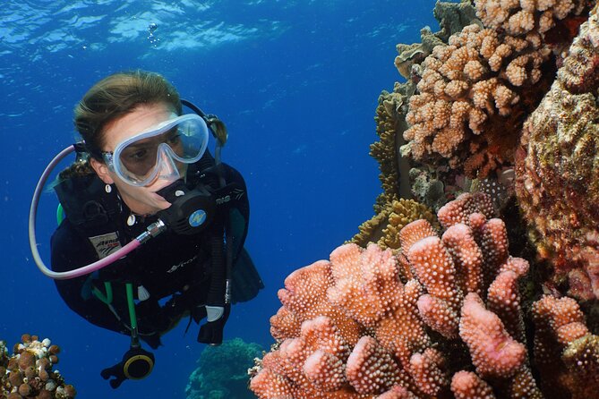 Silversonic Outer Great Barrier Reef Cruise from Port Douglas - Introductory scuba and certified sessions
